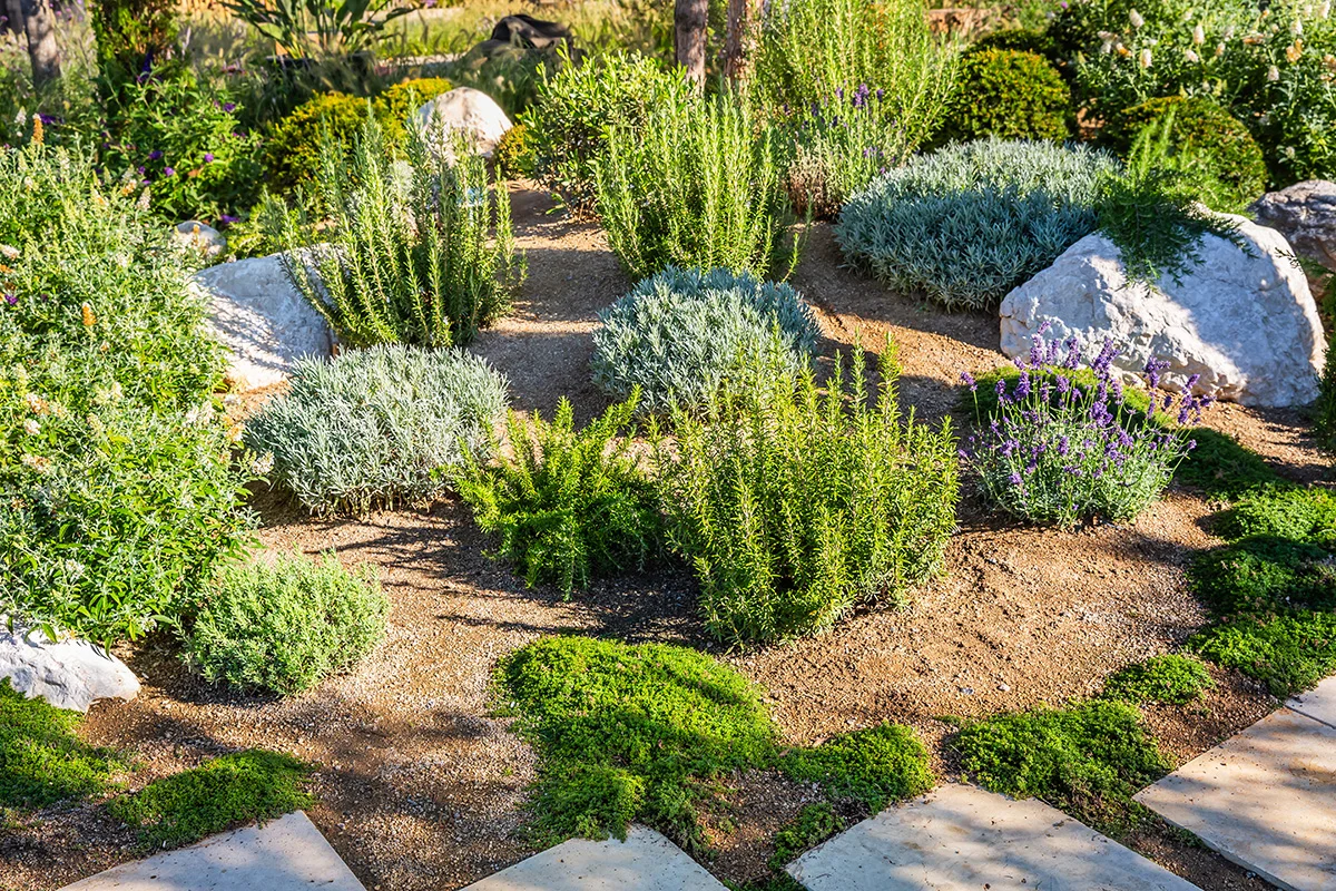 Drought-friendly landscaping with a rock garden, showing the concept of eco-friendly home renovations